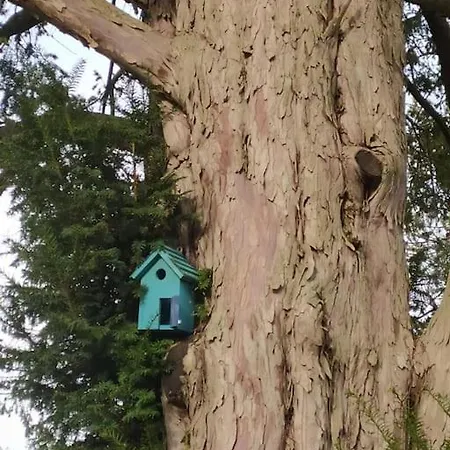 Villa La Casa Nel Monferrato 