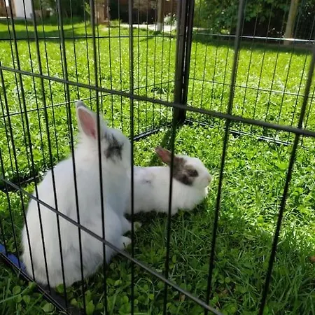La Casa Nel Monferrato 