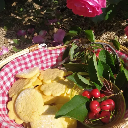 Villa La Casa Nel Monferrato 