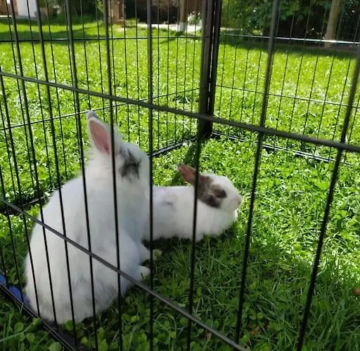 La Casa Nel Monferrato 