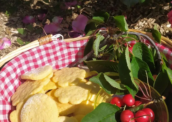 Villa La Casa Nel Monferrato 